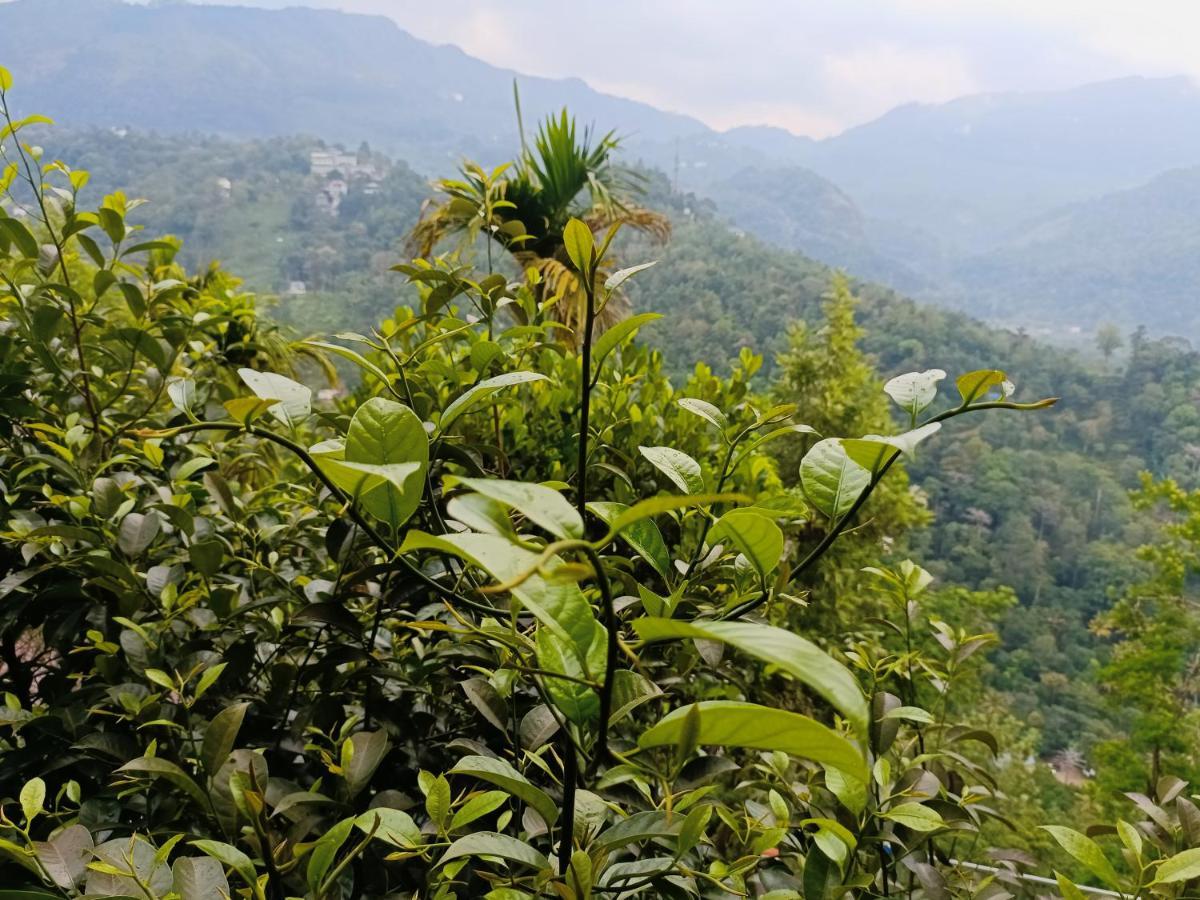 Bed and Breakfast Grace Munnar Residency Zewnętrze zdjęcie